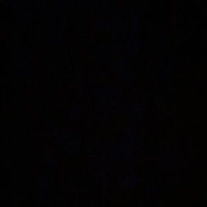 Meet your Posher, Walter